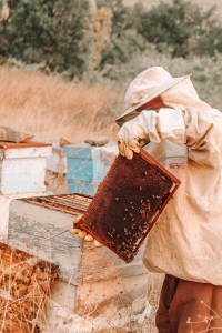 Beekeeping Jacket Care and Storage: Tips to Keep Your Gear Buzzing